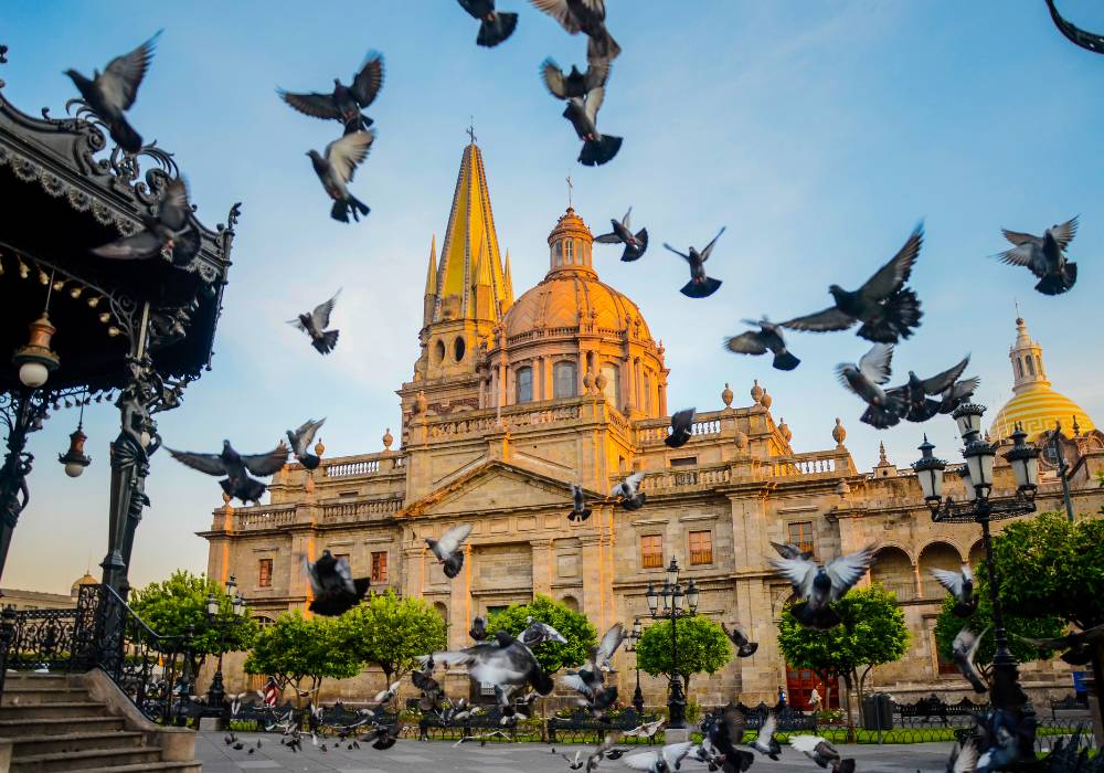 Diseño web en Guadalajara