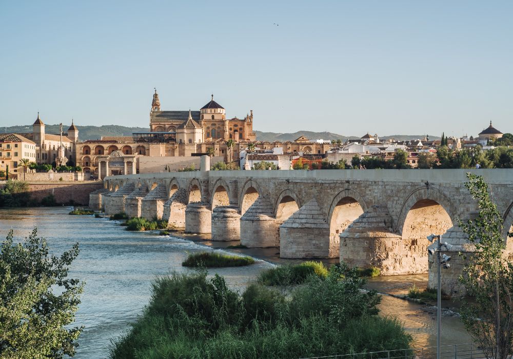 Diseño web en Córdoba