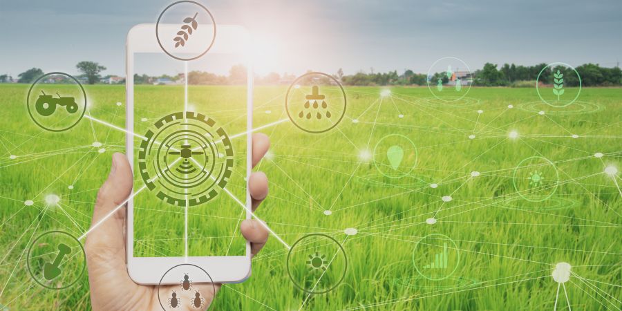 Comercio Online Productos Agricolas