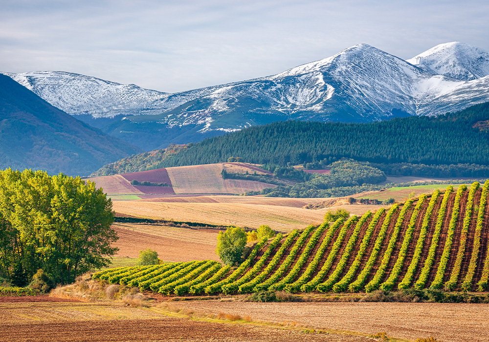 Diseño web en La Rioja