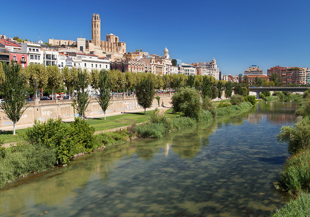 Diseño web en Lleida